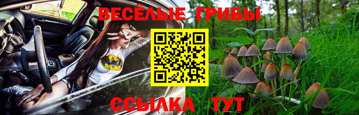 Галлюциногенные грибы Psilocybe  Вход с VPN  Белореченск  Псилоцибиновые грибы MAGIC MUSHROOMS 
